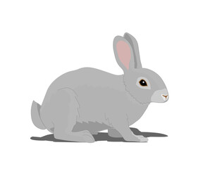 Cute gray rabbit on a white background. Cartoon. Vector illustration.