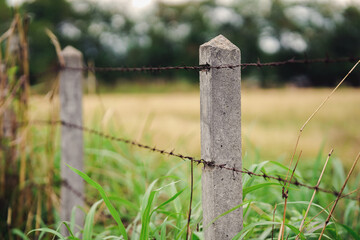 Barbed wire fence and rural lawn or corral for farm animals with bokeh blur nature background.