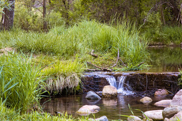 A babbling brook is surrounded by long blades of green grass, bright, wildflowers, trees and other greenery. The cool, clear water flows around large boulders and down waterfalls in this quiet spot 