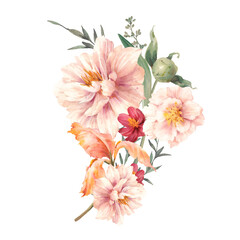 Watercolor white peony composition. Artistic botanical illustration isolated on white background. - 439531943