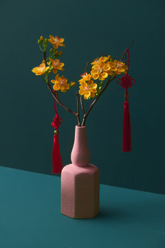 Ochna trees to decorate for celebrating Lunar New Year.