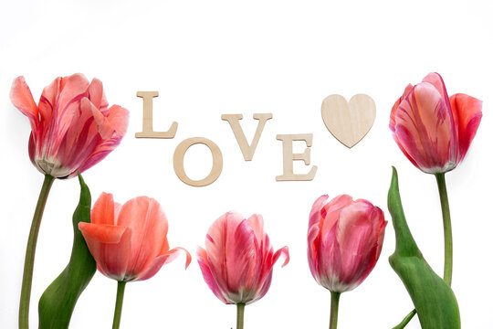 red tulips on white background, wooden letters love, romantic greeting card, mothers day, valentines day, 8 march concept - Powered by Adobe