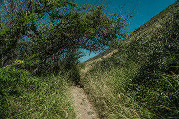 Kaena ponit trail, Oahu, Hawaii. Coastline scenery