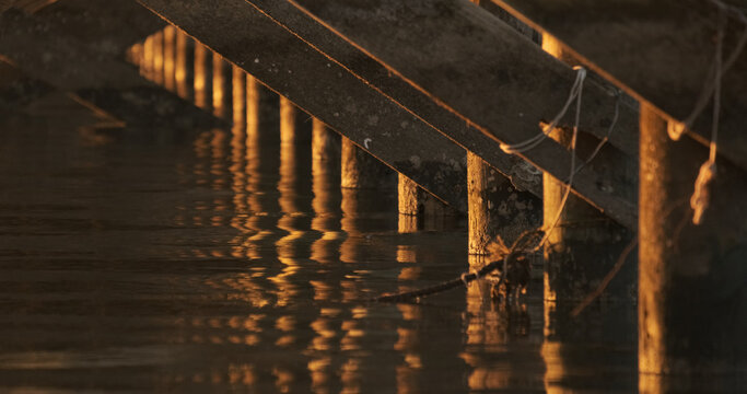 Wooden Dock Pilings