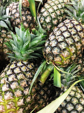  food product tropical fruit pineapple. Texture green juicy fresh fruit pineapple
