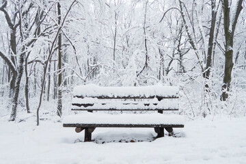 winter snow landscape