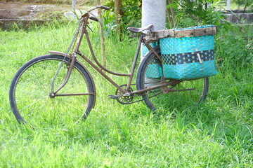 old bicycle in the grass