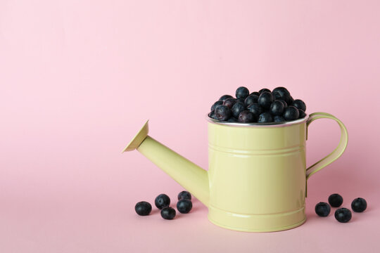 Fresh berry concept with blueberry on pink background