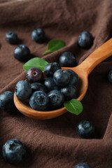 Fresh berry concept with blueberry on kitchen towel background