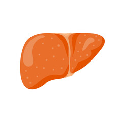 Stages liver damage set dd ww isol