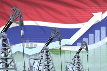 rising up chart on Gambia flag background - industrial illustration of Gambia oil industry or market concept. 3D Illustration