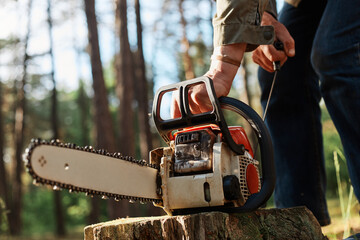 Faceless forester starting chainsaw for cutting trees in forest, planned deforestation, special equipment for logging, unknown person working in wood. - obrazy, fototapety, plakaty