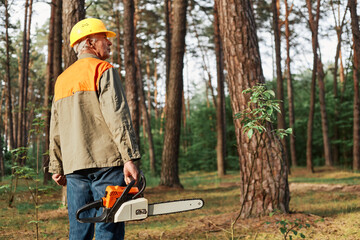 Back view of logger wearing protective helmet and uniform holding chainsaw in hands, looking around before starting deforestation, industrial destruction of trees, causing harm to the environment.