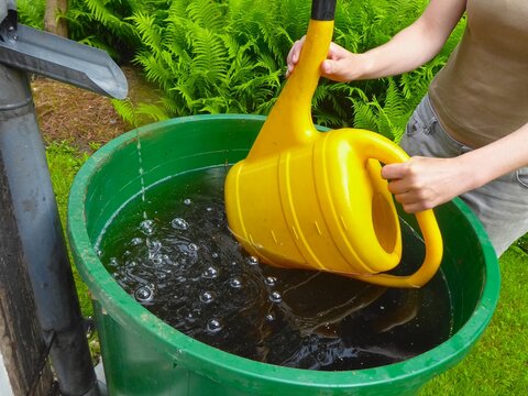 Regenwasser sammeln und sinnvoll nutzen. So kann kostbares Trinkwasser gespart werden.