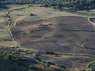 Agriculture &agrave; Ronda