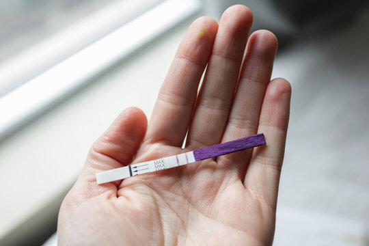 Ovulation / Pregnancy Test 