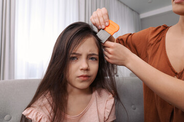Fototapeta premium Mother using nit comb on her daughter's hair indoors. Anti lice treatment