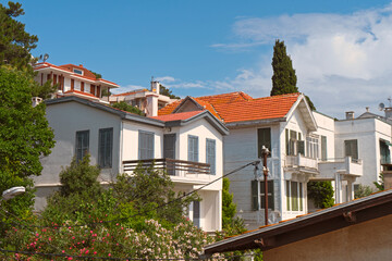 Fototapeta na wymiar Street of Burgazada island with wooden houses and trees from top . The island is one of four islands named Princes Islands in the Sea of Marmara 