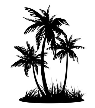 Three black silhouettes of palm trees. Vector illustration