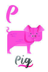 Letter P is for Pig. ABC Illustrations with Associated Picture. Cute Animal with Tongue. Modern Flat Vector Illustration Template.