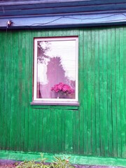  green wall of a country house, pink flowers in a vase on the windowsill