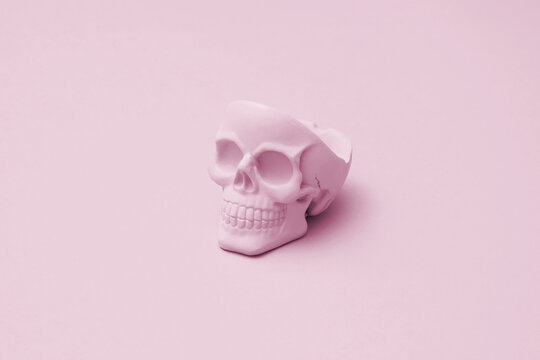 Pink human skull on the light pink background