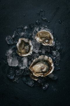 Fresh oysters with ice on dark background