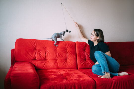 Woman playing with cat at home