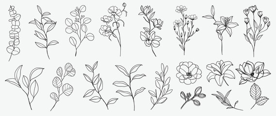 Minimal botanical hand drawing design for logo and wedding invitation. Floral line art.  Flower and leaves design collection for bouquets decoration, card and packaging background.
