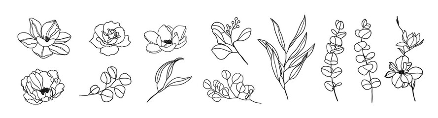 Minimal botanical hand drawing design for logo and wedding invitation. Floral line art.  Flower and leaves design collection for bouquets decoration, card and packaging background.