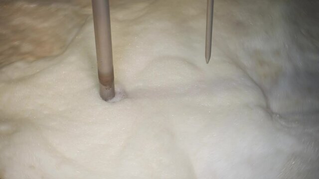 Beer wort starting to boil, Wort for Home Brew