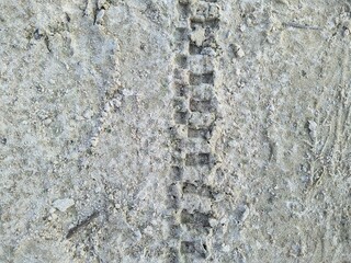 bicycle tire footprint in the sand in the daytime.