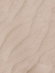 Fototapeta na wymiar Close-up sand texture, natural background image in beige tones. Copyspace.