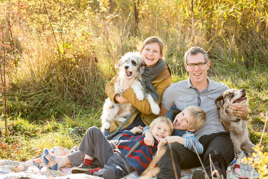 Energetic familiy photo with dogs
