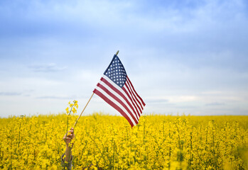 American flag among blooming yellow rapeseed field. pride, patriotism, independence day