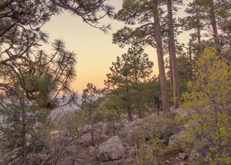 In Payson, Arizona this is known as the Mogollon Rim. The sun sets looking out over the rim, through the trees, the colorful sky paints the ledge and flowing hills, boulders and trees colorful shades 