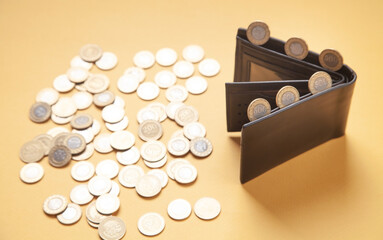 Wallet and coins on the yellow background.