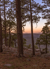 In Payson, Arizona this is known as the Mogollon Rim. The sun sets looking out over the rim, through the trees, the colorful sky paints the ledge and flowing hills, boulders and trees colorful shades 