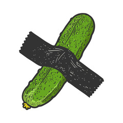 cucumber taped to wall sketch raster illustration