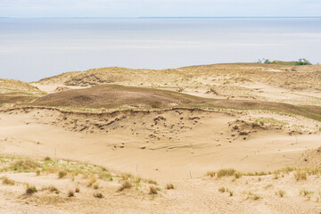 Fototapeta na wymiar Panoramic view of sand dunes in Nida, Klaipeda, Lithuania, Europe. Curonian Spit and Curonian Lagoon. Baltic Dunes on the Baltic Sea. Unesco heritage