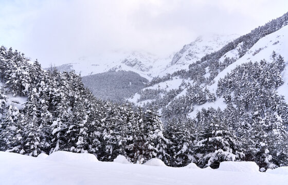 Forested snow covered mountain ridge in winter