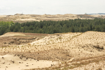 Panoramic view of sand dunes in Nida, Klaipeda, Lithuania, Europe. Curonian Spit and Curonian Lagoon. Baltic Dunes on the Baltic Sea. Unesco heritage