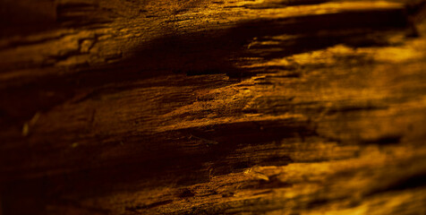 Fototapeta na wymiar Wood close up texture