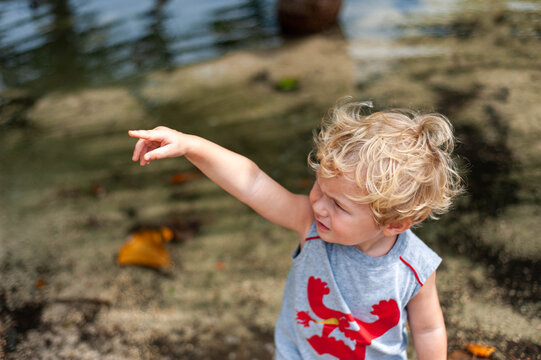 Toddler Exploring Nature in the Cayman Islands