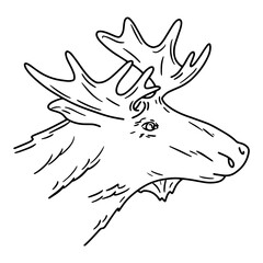 Moose head, linear icon in Doodle style. Elk on a white background