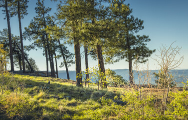 Fototapeta premium The sun rises at the Mogollon Rim in northern Arizona throwing shadows across the dirt and grassy earth. there is a ledge aligned with trees where we can see into the distance where mountains are