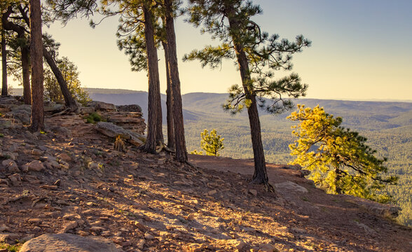 The sun rises at the Mogollon Rim in northern Arizona throwing shadows across the dirt and grassy earth. there is a ledge aligned with trees where we can see into the distance where mountains are