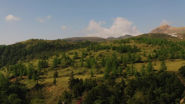 美しい草原の空撮風景・ドローン 映画のようなシーン / Beautiful meadow aerial shot, drone, Japan