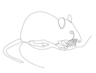 rat, mouse in continuous line, isolated, vector