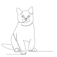 continuous line cat, isolated, vector
